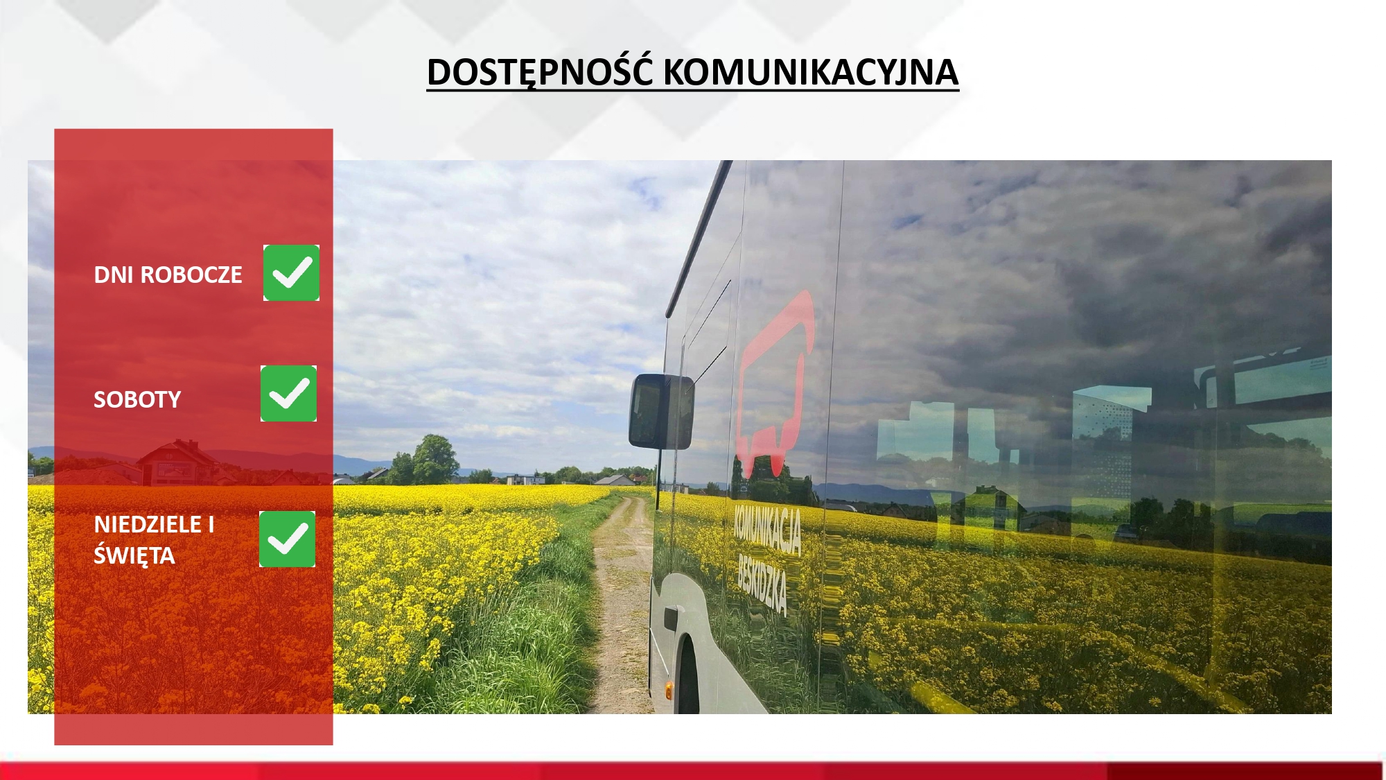 Zdjęcie pól z rzepakiem.