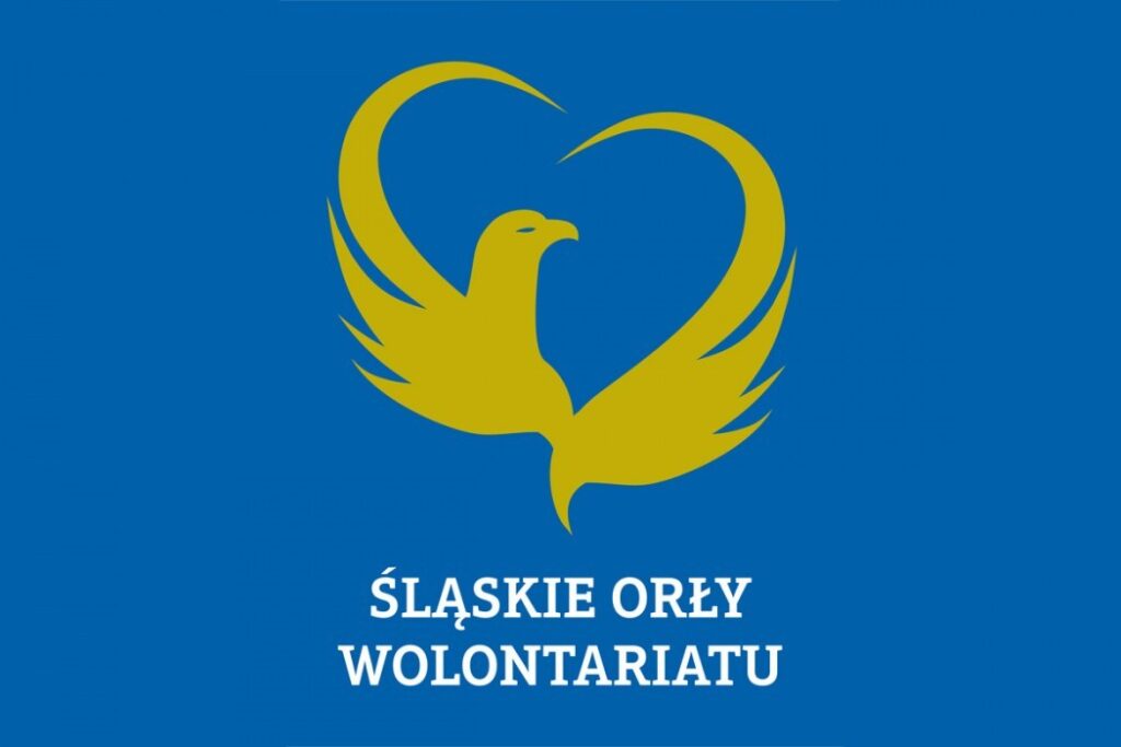 Śląskie Orły Wolontariatu - grafika - źródło https://siemianowice.pl/2023/10/slaskie-orly-wolontariatu-wolontariusz-roku-2023/