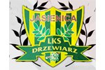 Logo LKS Drzewiarz