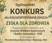 Konkurs