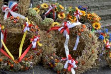 Ruszają dożynki w całej Polsce – co powinieneś wiedzieć o tej tradycji?